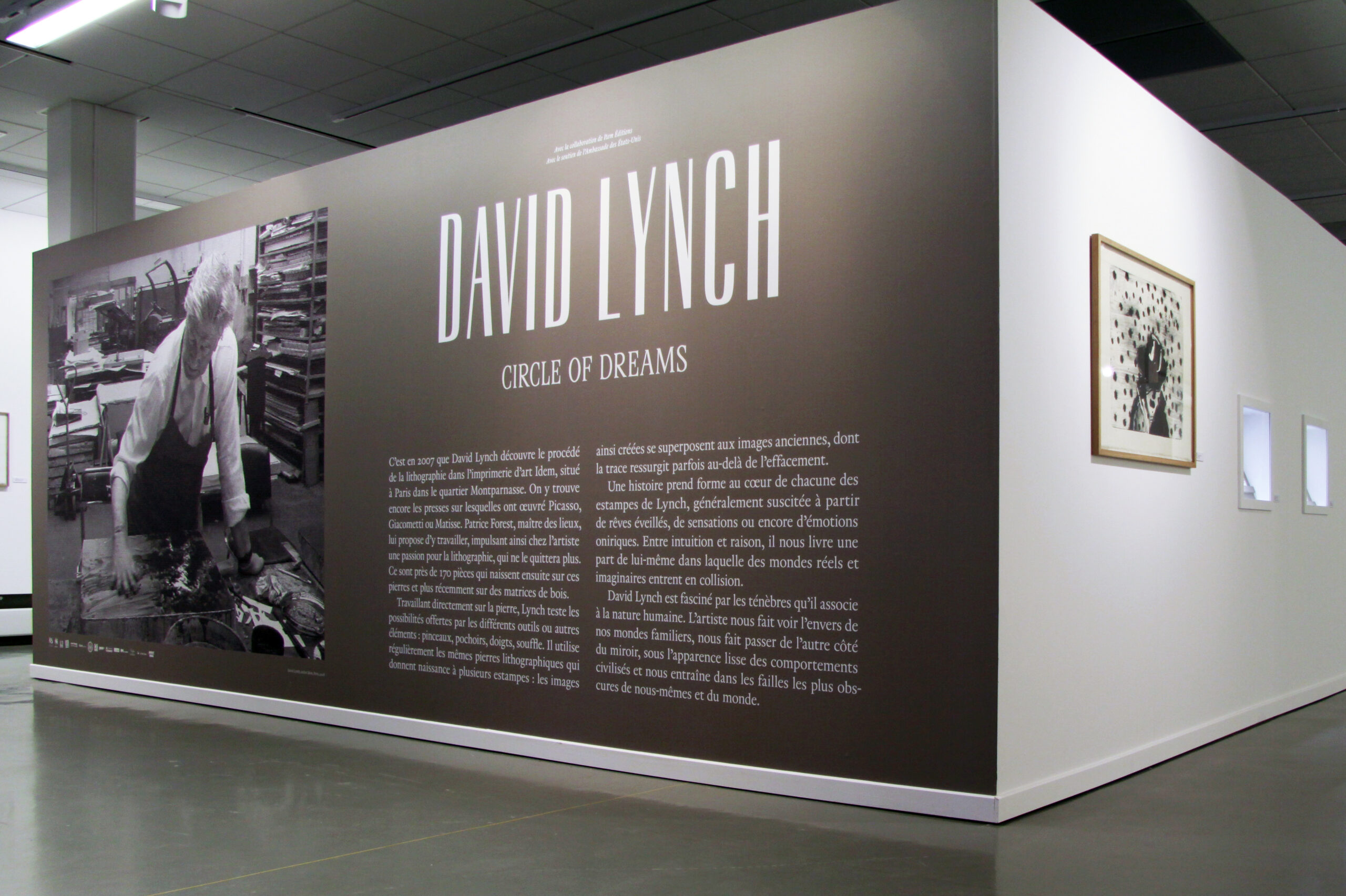 Exposition David Lynch